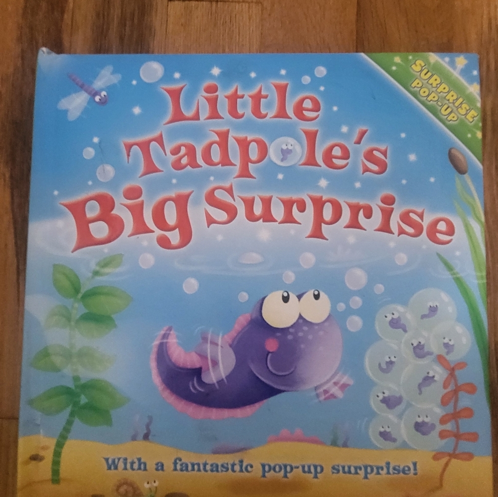 Kids Pop Up Book